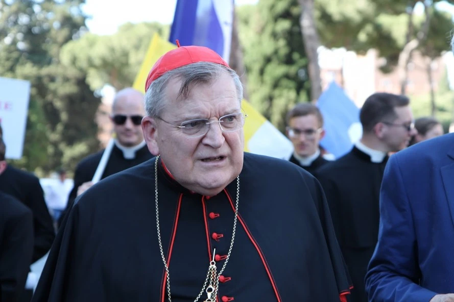 Cardinal Raymond Leo Burke at the March for Life in Rome, Italy, May 10, 2015. | Martha Calderon/CNA