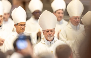 Cardinals participate in the fifth Novendiales Mass for Pope Francis on May 3, 2025 — the feast of Sts. Philip and James — in St. Peter’s Basilica at the Vatican. Credit: Daniel Ibañez/CNA